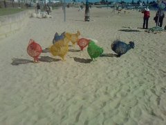 dsculptures on Rockinham beach .. all made from sea/beach debris