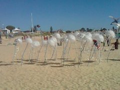 Sculptures on rockingham beach .. all made from sea/beach  debris