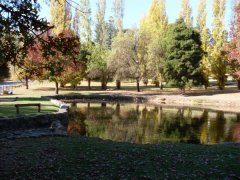 kalamunda ,stirk park in Autumn..